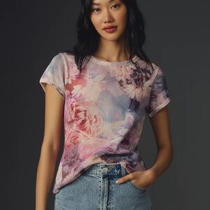 NWT Anthropologie Pilcro Mesh Ringer Tee